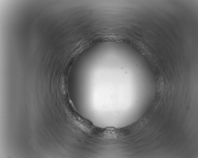 X0000080150764200612221949