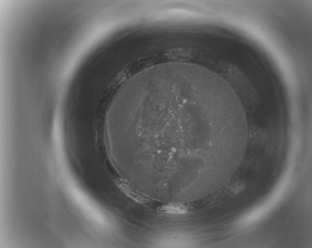 X0000080150765200612221949