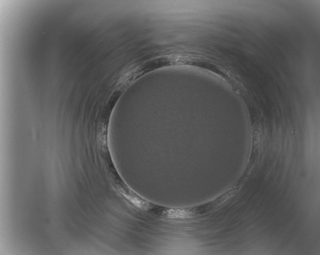 X0000080150766200612221949