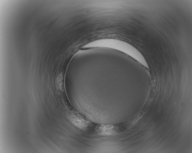 X0000080150767200612221949