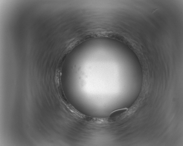 X0000080150768200612221949