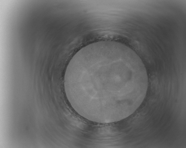 X0000080150769200612221948