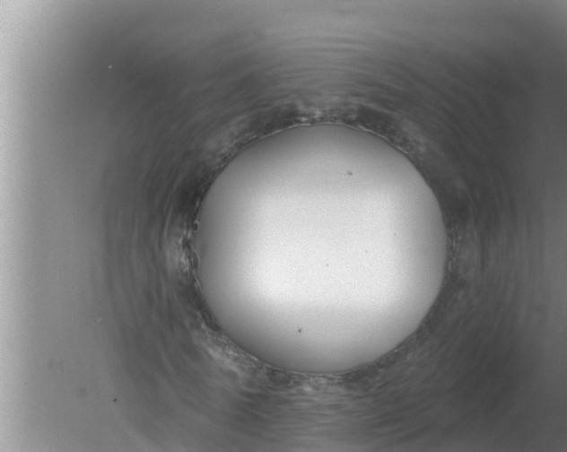 X0000080150770200612221948