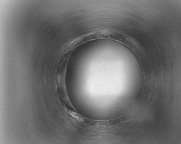 X0000080150773200612221948