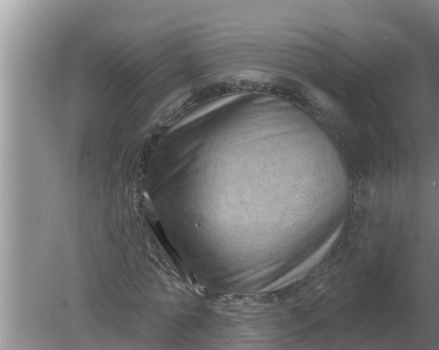 X0000080150774200612221948