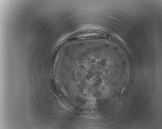 X0000080150775200612221948