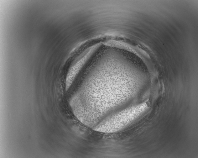 X0000080150776200612221948