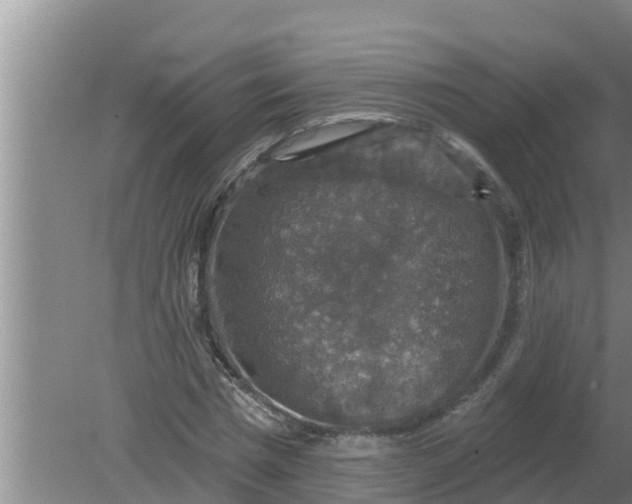 X0000080150777200612221948