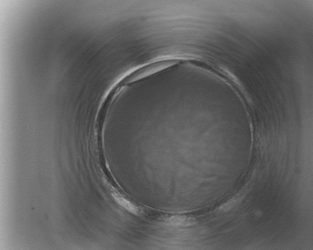 X0000080150779200612221948