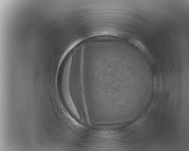 X0000080150780200612221948