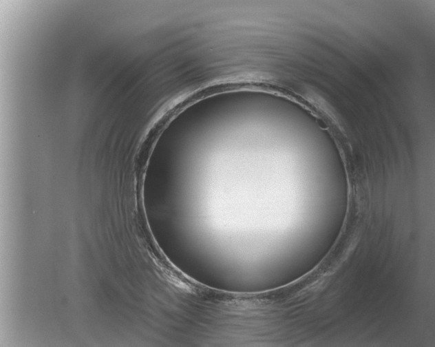 X0000080150781200612221948