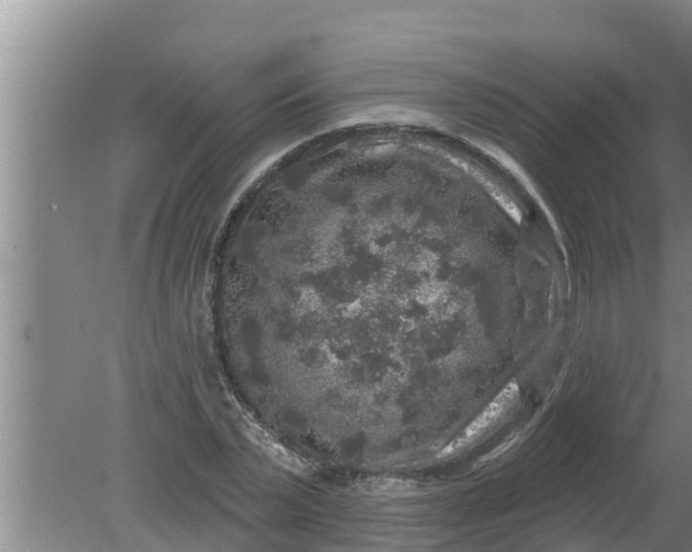 X0000080150783200612221948