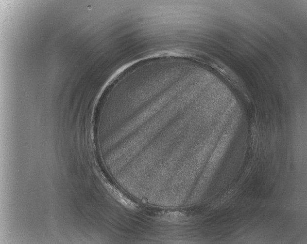 X0000080150784200612221948