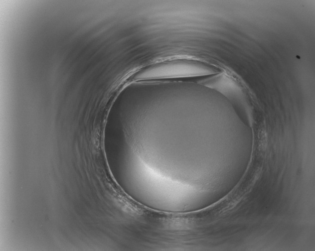 X0000080150785200612221948