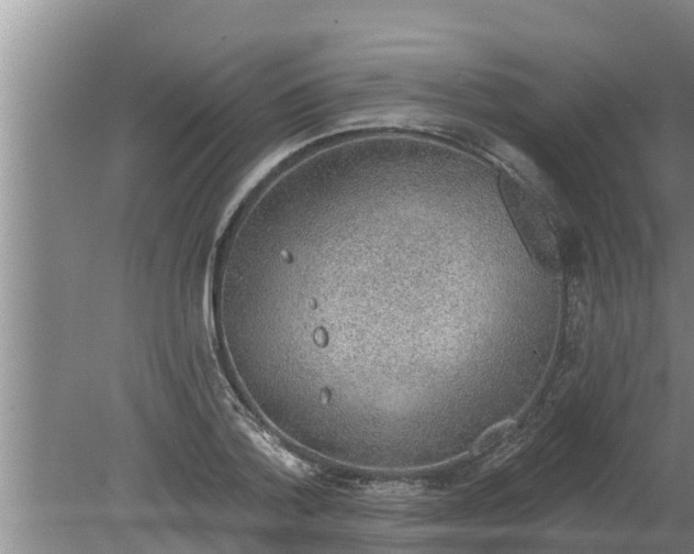 X0000080150788200612221948