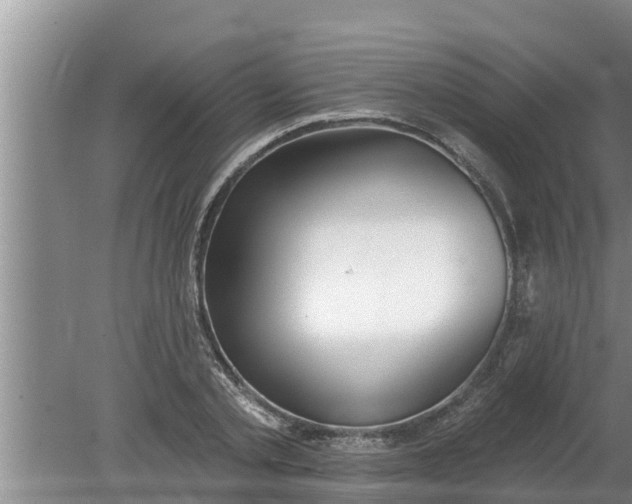 X0000080150789200612221948