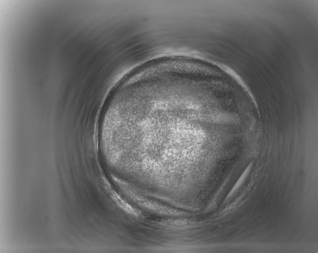 X0000080150791200612221948