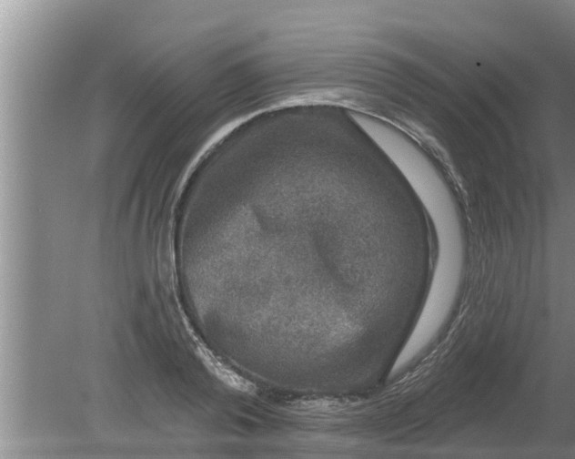 X0000080150792200612221948