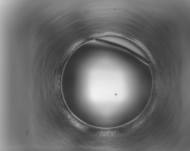 X0000080150793200612221948