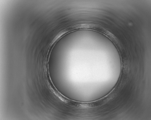 X0000080150794200612221948