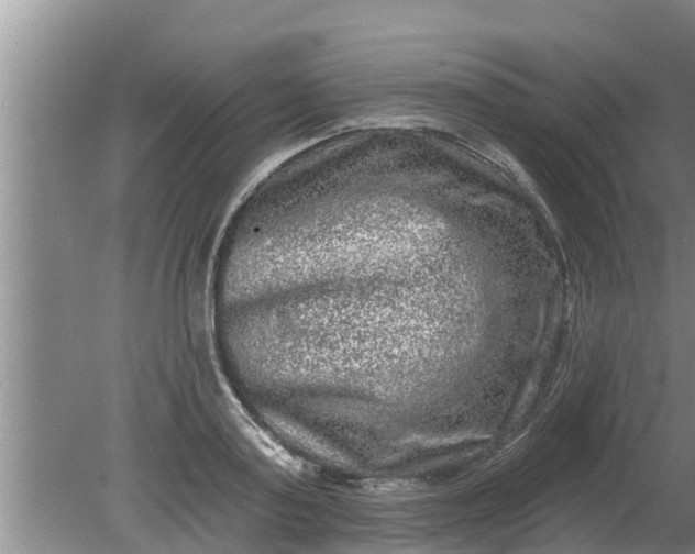 X0000080150795200612221948