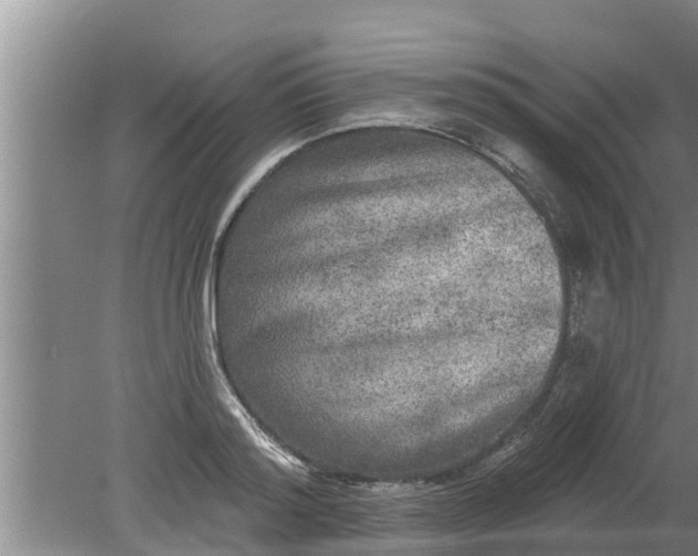 X0000080150796200612221948