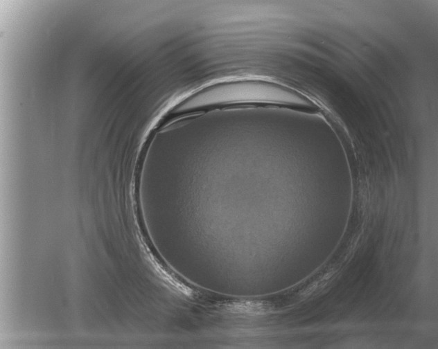 X0000080150797200612221948