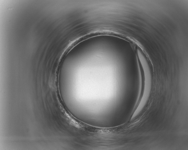 X0000080150799200612221948