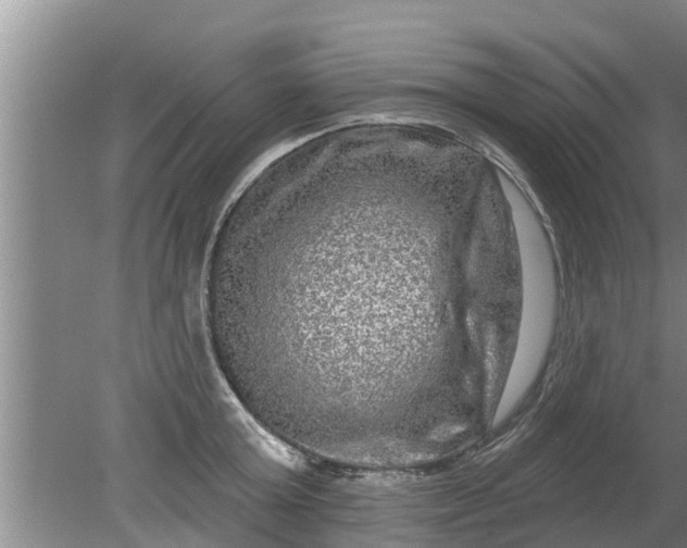 X0000080150803200612221947