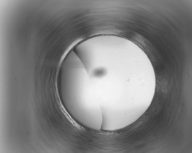 X0000080150804200612221947