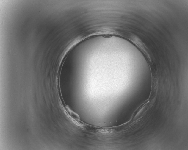 X0000080150805200612221947