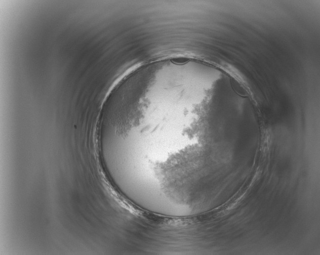 X0000080150806200612221947