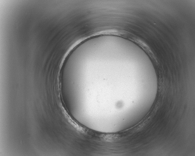 X0000080150808200612221947