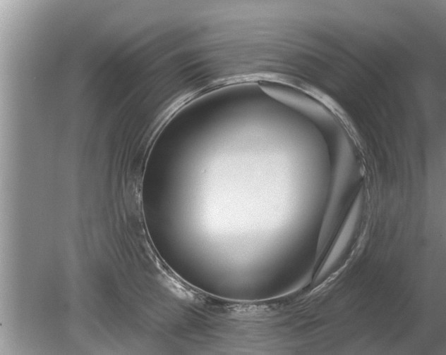 X0000080150809200612221947