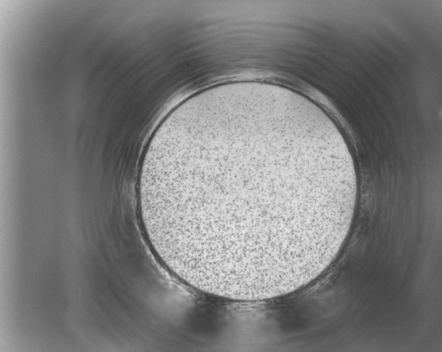 X0000080150810200612221947