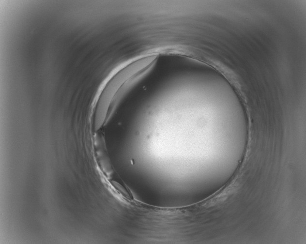 X0000080150816200612221947