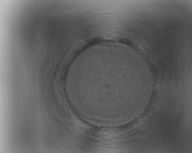 X0000080150817200612221946