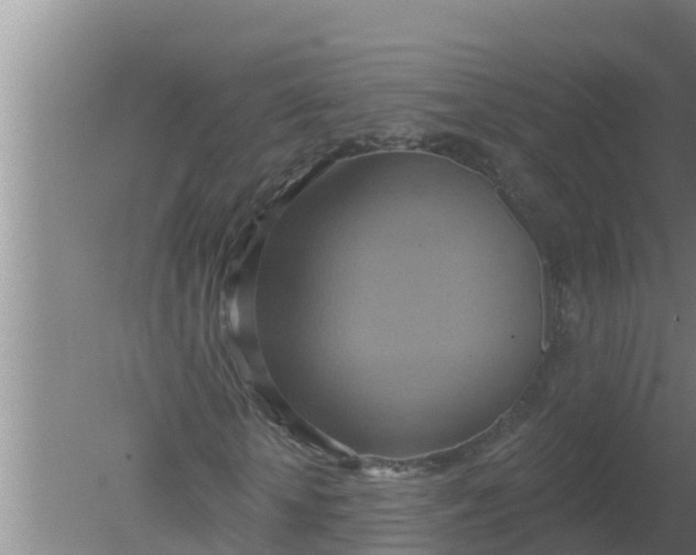 X0000080150818200612221946