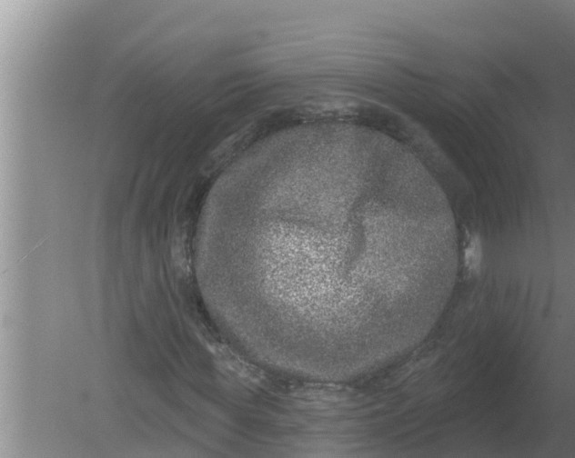 X0000080150819200612221946