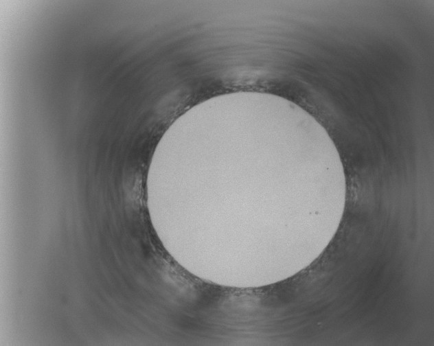 X0000080150820200612221946