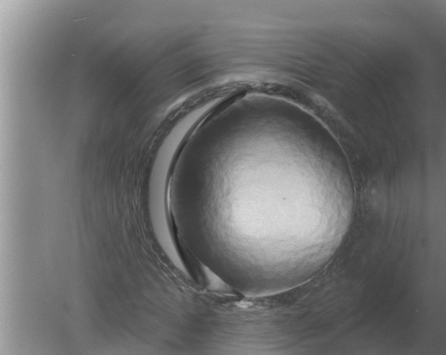 X0000080150822200612221946