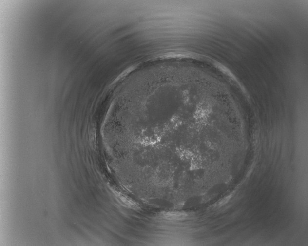 X0000080150825200612221947