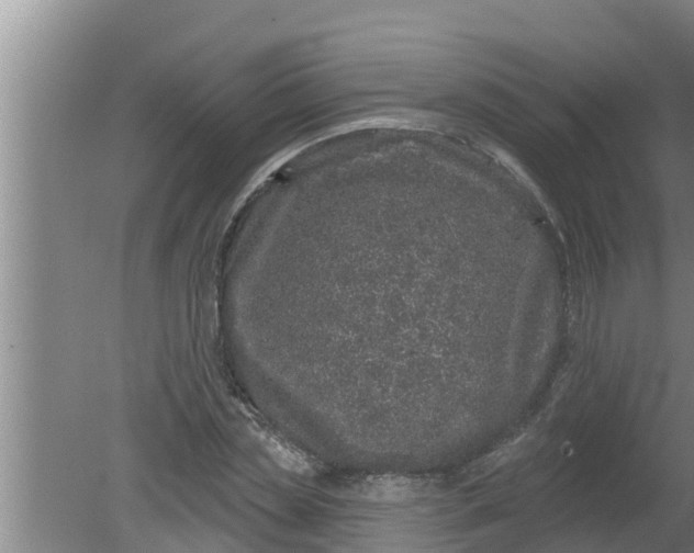 X0000080150829200612221947