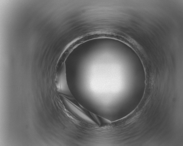 X0000080150830200612221947