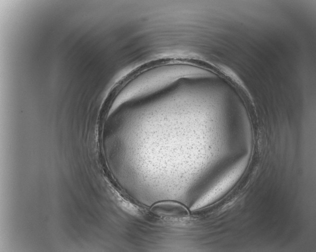 X0000080150831200612221947