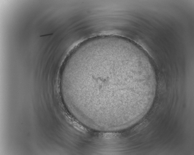 X0000080150832200612221947