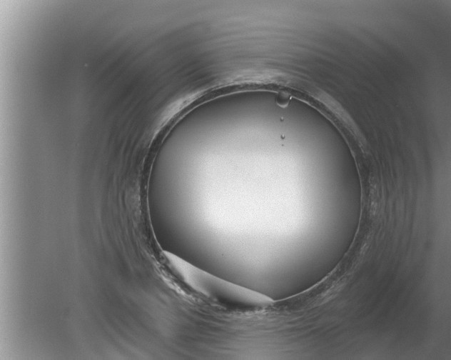 X0000080150834200612221947