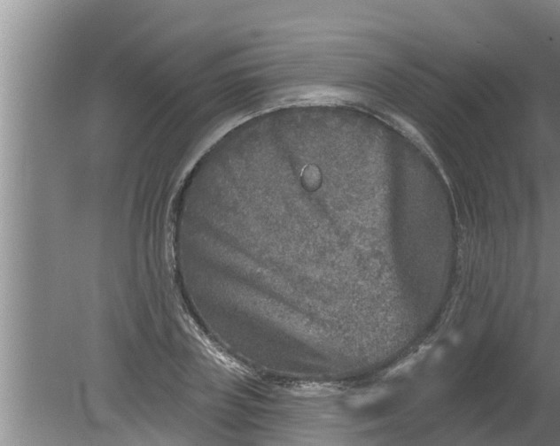 X0000080150835200612221947