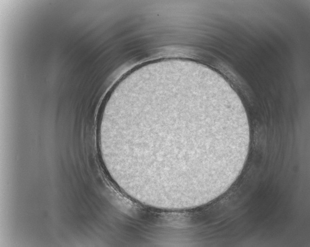 X0000080150836200612221947