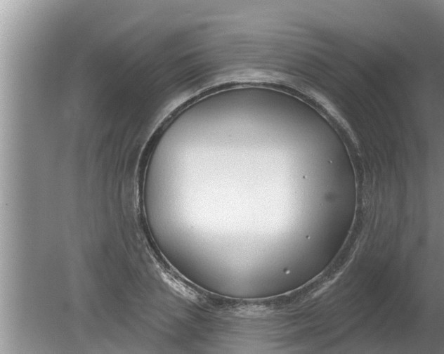 X0000080150837200612221947